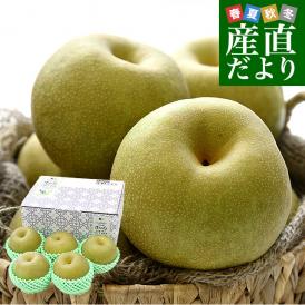 茨城県産 梨 幸水 優品以上 大玉厳選 約2キロ（5玉から6玉入り）送料無料 なし ナシ 和梨 赤梨 こうすい