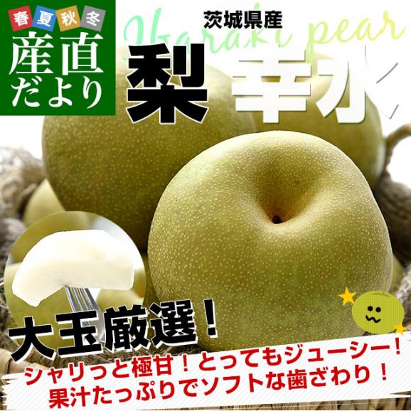 茨城県産 梨 幸水 優品以上 大玉厳選 約2キロ（5玉から6玉入り）送料無料 なし ナシ 和梨 赤梨 こうすい02