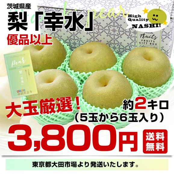 茨城県産 梨 幸水 優品以上 大玉厳選 約2キロ（5玉から6玉入り）送料無料 なし ナシ 和梨 赤梨 こうすい03