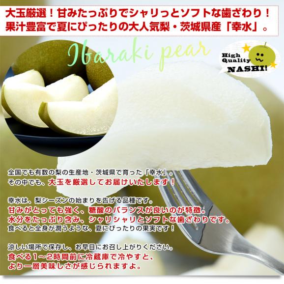 茨城県産 梨 幸水 優品以上 大玉厳選 約2キロ（5玉から6玉入り）送料無料 なし ナシ 和梨 赤梨 こうすい04