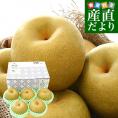 茨城県産 梨 豊水またはあきづき梨 優品以上 大玉厳選 約2キロ（5玉から6玉入り）送料無料 なし ナシ 和梨 赤梨 ほうすい