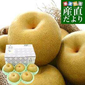 茨城県産 梨 豊水またはあきづき梨 優品以上 大玉厳選 約2キロ（5玉から6玉入り）送料無料 なし ナシ 和梨 赤梨 ほうすい