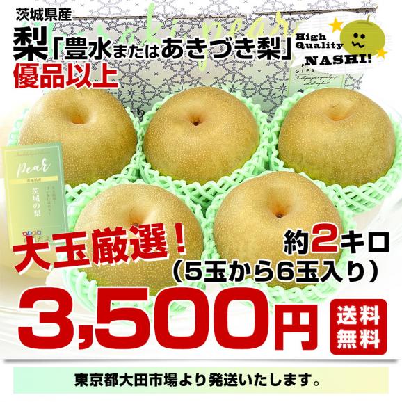 茨城県産 梨 豊水またはあきづき梨 優品以上 大玉厳選 約2キロ（5玉から6玉入り）送料無料 なし ナシ 和梨 赤梨 ほうすい03