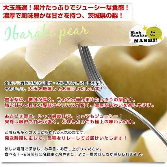 茨城県産 梨 豊水またはあきづき梨 優品以上 大玉厳選 約2キロ（5玉から6玉入り）送料無料 なし ナシ 和梨 赤梨 ほうすい04