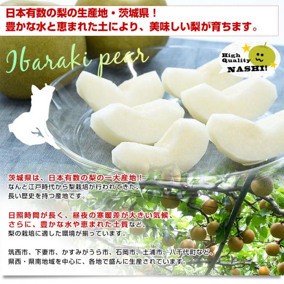 茨城県産 梨 豊水またはあきづき梨 優品以上 大玉厳選 約2キロ（5玉から6玉入り）送料無料 なし ナシ 和梨 赤梨 ほうすい05