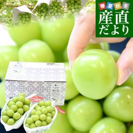 山梨県産  JAふえふき御坂支所 シャインマスカット 最上位等級「雅」約1.4キロ(2房入り）送料無料 大房 大粒 ぶどう マスカット ギフト