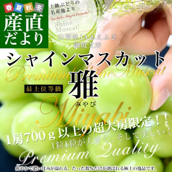 山梨県産  JAふえふき御坂支所 シャインマスカット 最上位等級「雅」約1.4キロ(2房入り）送料無料 大房 大粒 ぶどう マスカット ギフト02