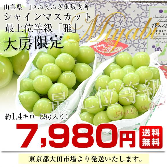 山梨県産  JAふえふき御坂支所 シャインマスカット 最上位等級「雅」約1.4キロ(2房入り）送料無料 大房 大粒 ぶどう マスカット ギフト03