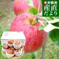 岩手県産 JAいわて中央 特別栽培りんご「つがる」等級：特以上 約3キロ（8玉から13玉入り）送料無料 林檎 リンゴ