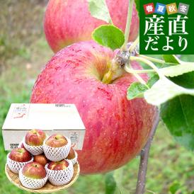岩手県産 JAいわて中央 特別栽培りんご「つがる」等級：特以上 約3キロ（8玉から13玉入り）送料無料 林檎 リンゴ