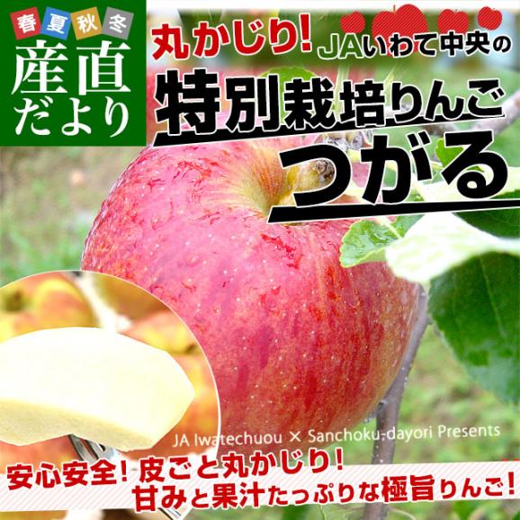 岩手県産 JAいわて中央 特別栽培りんご「つがる」等級：特以上 約3キロ（8玉から13玉入り）送料無料 林檎 リンゴ02