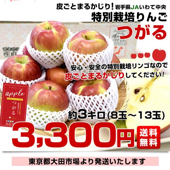 岩手県産 JAいわて中央 特別栽培りんご「つがる」等級：特以上 約3キロ（8玉から13玉入り）送料無料 林檎 リンゴ03