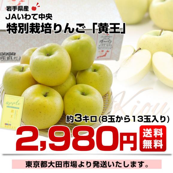 岩手県産 JAいわて中央 特別栽培りんご「黄王」等級：特以上 約3キロ（8玉から13玉入り）送料無料 林檎 リンゴ きおう 黄りんご03