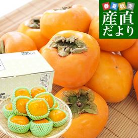 奈良県 JAならけん たねなし柿（刀根柿・平種無柿）優品以上 2LからLサイズ 約2.5キロ(10玉から12玉) 送料無料 柿 かき
