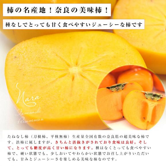 奈良県 JAならけん たねなし柿（刀根柿・平種無柿）優品以上 2LからLサイズ 約2.5キロ(10玉から12玉) 送料無料 柿 かき04