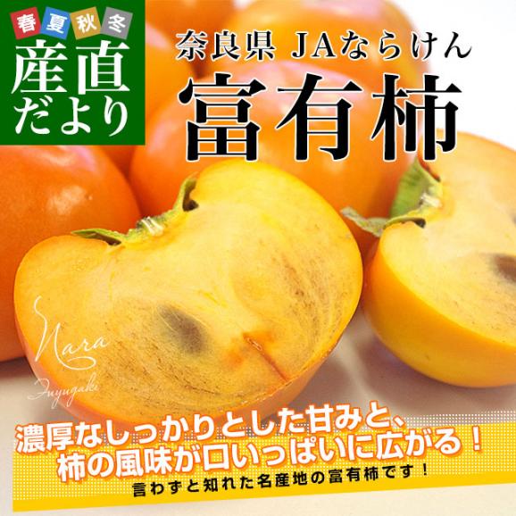奈良県 JAならけん 富有柿 優品以上 2LからLサイズ 約2.5キロ(9玉から11玉）送料無料 柿 かき ふゆう柿02