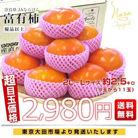 奈良県 JAならけん 富有柿 優品以上 2LからLサイズ 約2.5キロ(9玉から11玉）送料無料 柿 かき ふゆう柿03