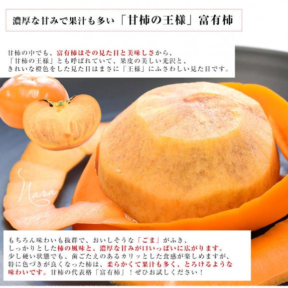 奈良県 JAならけん 富有柿 優品以上 2LからLサイズ 約2.5キロ(9玉から11玉）送料無料 柿 かき ふゆう柿04