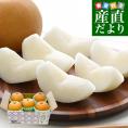 茨城県産 梨 恵水 優品以上 大玉 約2キロ（4玉から6玉入り）送料無料 なし ナシ 和梨 赤梨 けいすい