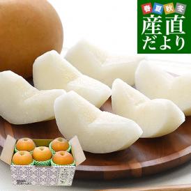 大玉＆高糖度！茨城県が美味しさを追求したオリジナル梨！