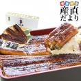 鹿児島県志布志産 山田水産の新仔うなぎ 長蒲焼き 大型160g前後×3尾詰め 送料無料 鰻 ウナギ 鰻師 新仔 加藤尚武さん 