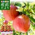 青森県より産地直送 JAつがる弘前 葉とらず太陽つがる 約3キロ(9玉から13玉)　りんご　リンゴ　林檎