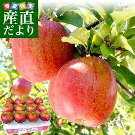青森県より産地直送 JAつがる弘前 葉とらず太陽つがる 約3キロ(9玉から13玉)　りんご　リンゴ　林檎