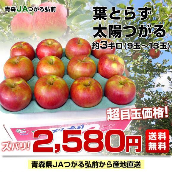 青森県より産地直送 JAつがる弘前 葉とらず太陽つがる 約3キロ(9玉から13玉)　りんご　リンゴ　林檎03