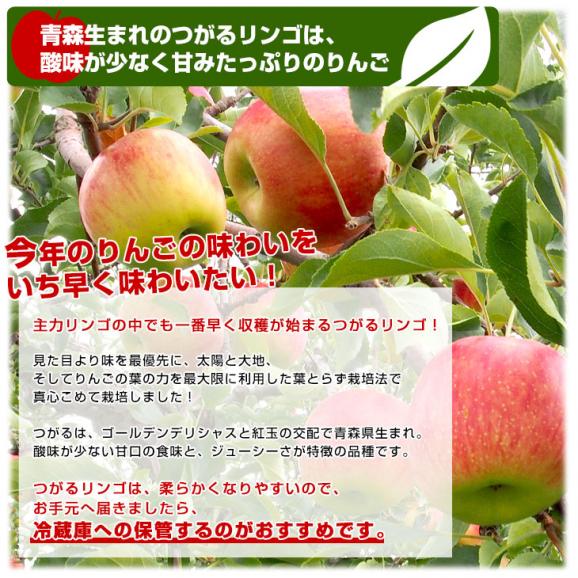 青森県より産地直送 JAつがる弘前 葉とらず太陽つがる 約3キロ(9玉から13玉)　りんご　リンゴ　林檎04