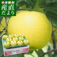 青森県より産地直送 JAつがる弘前 産直りんご 黄王(きおう) 約3キロ (9玉から13玉) 送料無料 林檎 りんご