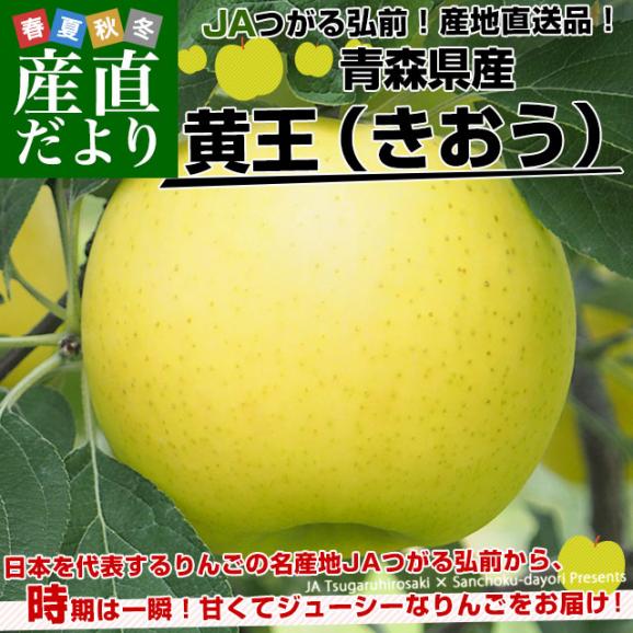 青森県より産地直送 JAつがる弘前 産直りんご 黄王(きおう) 約3キロ (9玉から13玉) 送料無料 林檎 りんご02