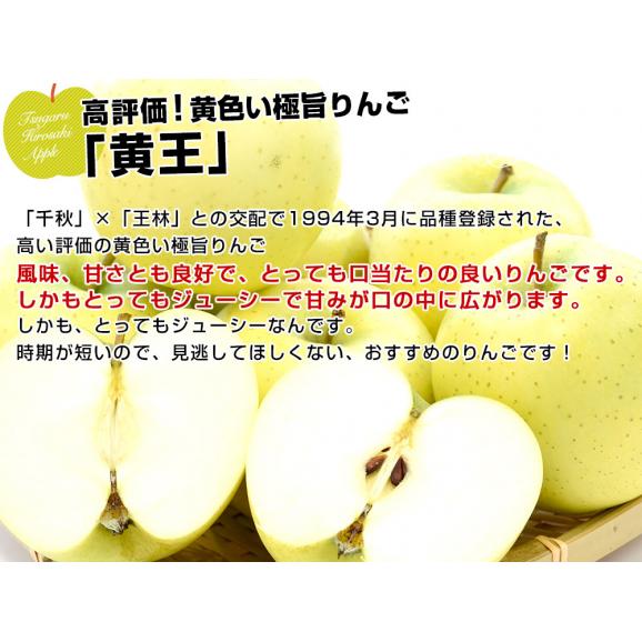 青森県より産地直送 JAつがる弘前 産直りんご 黄王(きおう) 約3キロ (9玉から13玉) 送料無料 林檎 りんご04