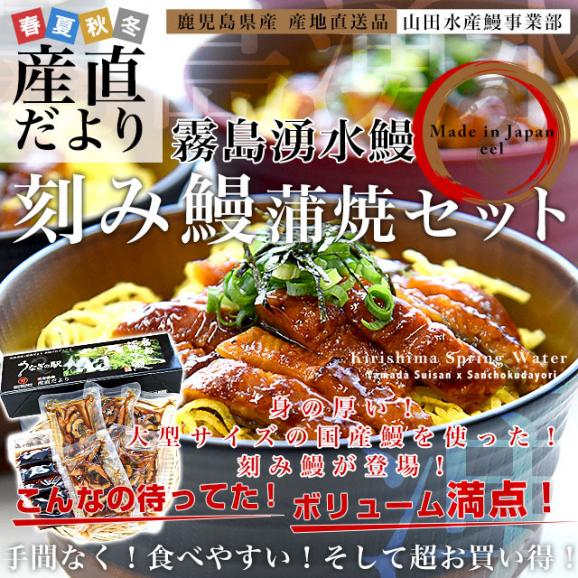 鹿児島県志布志産 山田水産 霧島湧水うなぎ 刻み鰻蒲焼セット 5パック入り（約40g×5パック）送料無料 ウナギ うなぎ 鰻 刻み鰻 カット鰻02