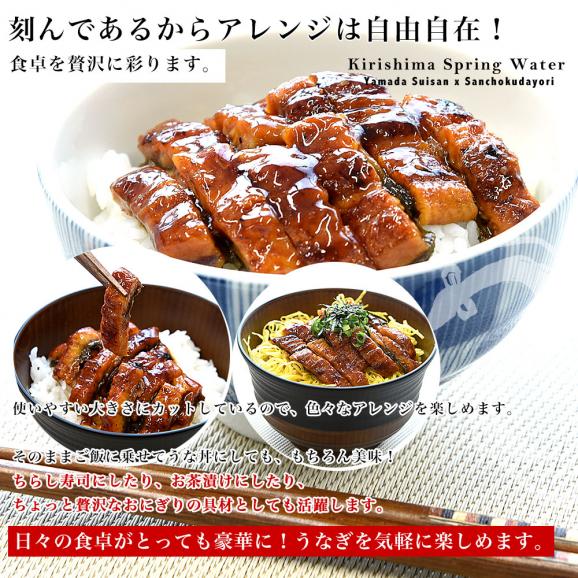 鹿児島県志布志産 山田水産 霧島湧水うなぎ 刻み鰻蒲焼セット 5パック入り（約40g×5パック）送料無料 ウナギ うなぎ 鰻 刻み鰻 カット鰻06