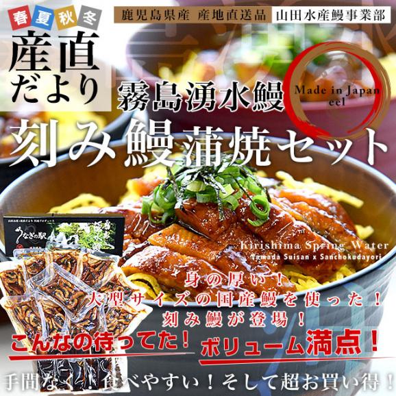 鹿児島県志布志産 山田水産 霧島湧水うなぎ 刻み鰻蒲焼セット 10パック入り（約40g×10パック）送料無料 ウナギ うなぎ 鰻 刻み鰻 カット鰻02