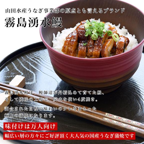 鹿児島県志布志産 山田水産 霧島湧水うなぎ 刻み鰻蒲焼セット 10パック入り（約40g×10パック）送料無料 ウナギ うなぎ 鰻 刻み鰻 カット鰻04