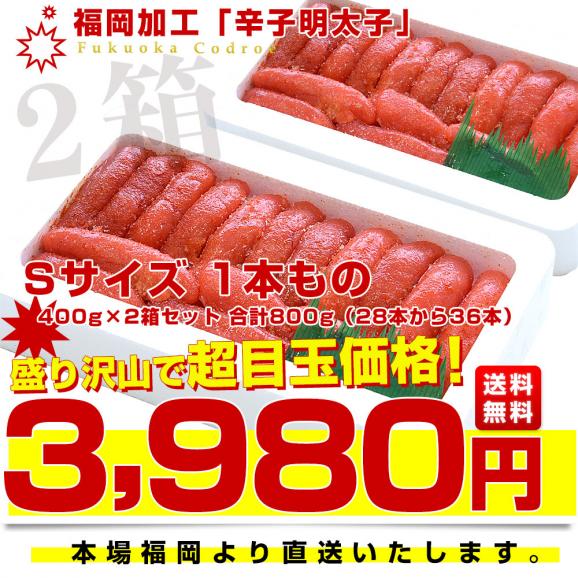 福岡加工 辛子明太子 Sサイズ1本もの 400g×2箱セット 合計800g（28本から36本） 送料無料 明太子 めんたいこ ご飯のお供　from九州03