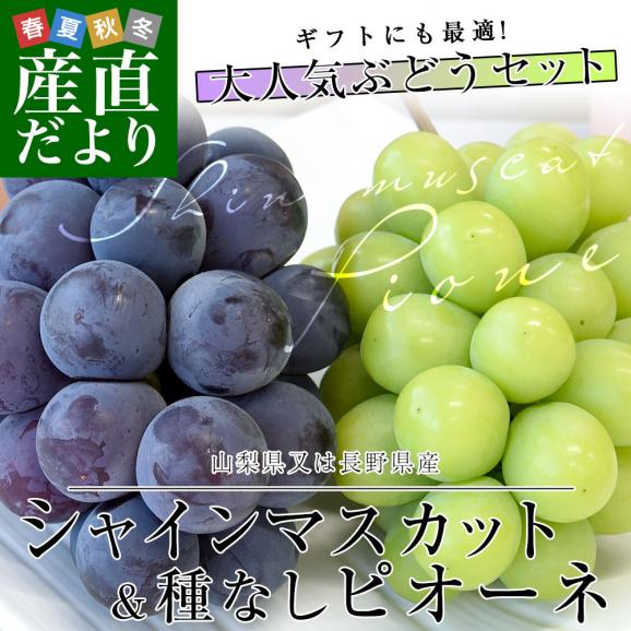 山梨県又は長野県産 シャインマスカット＆種なしピオーネ　秀品 各1房入り 合計約1キロ 送料無料 ブドウ ぶどう 葡萄 クール便02