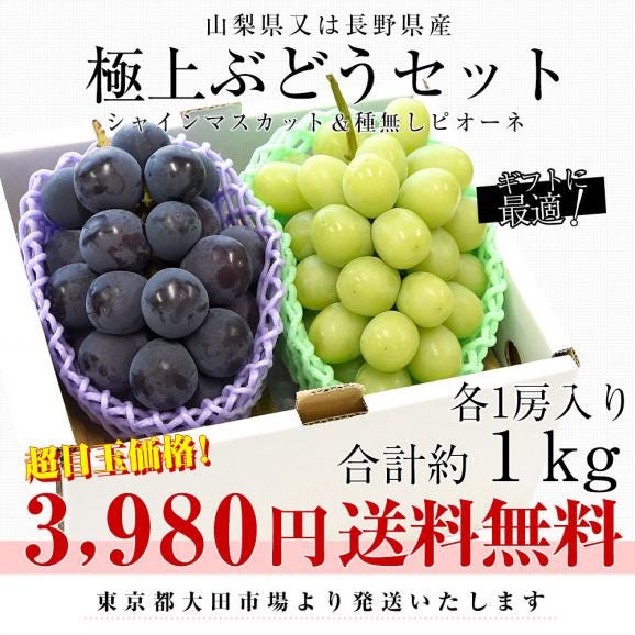 山梨県又は長野県産 シャインマスカット＆種なしピオーネ　秀品 各1房入り 合計約1キロ 送料無料 ブドウ ぶどう 葡萄 クール便03