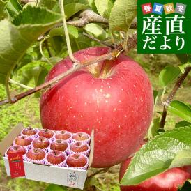 岩手県産 JAいわて中央 特別栽培りんご 早生ふじ 約3キロ（8玉から13玉入り）送料無料 林檎 リンゴ