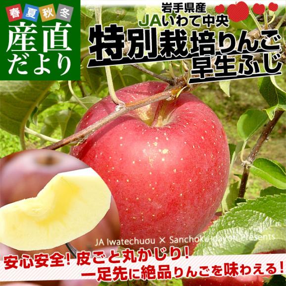 岩手県産 JAいわて中央 特別栽培りんご 早生ふじ 約3キロ（8玉から13玉入り）送料無料 林檎 リンゴ02