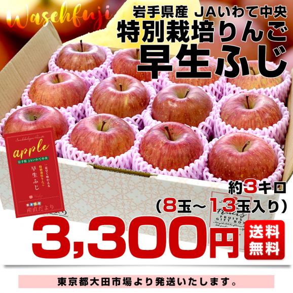 岩手県産 JAいわて中央 特別栽培りんご 早生ふじ 約3キロ（8玉から13玉入り）送料無料 林檎 リンゴ03