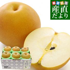 栃木県産 「梨」品種：豊水またはあきづき梨 優品以上 約1.8キロ(6玉入り) 送料無料 なし ナシ