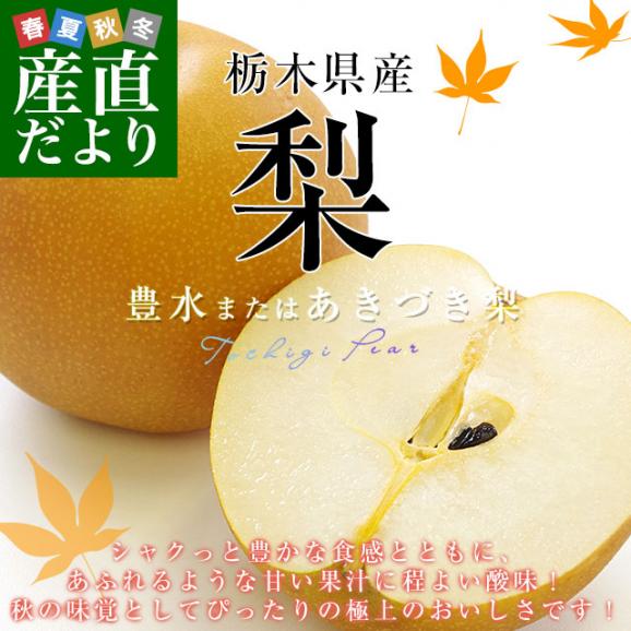 栃木県産 「梨」品種：豊水またはあきづき梨 優品以上 約1.8キロ(6玉入り) 送料無料 なし ナシ02