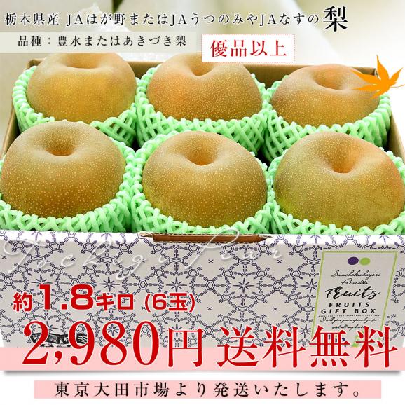 栃木県産 「梨」品種：豊水またはあきづき梨 優品以上 約1.8キロ(6玉入り) 送料無料 なし ナシ03