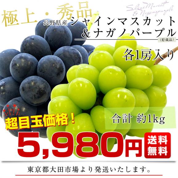 長野県産 シャインマスカット＆ナガノパープル（貯蔵品） 各1房 合計約1キロ 送料無料 ぶどう 葡萄 ぶどうセット03