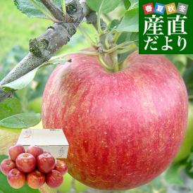 岩手県産 JAいわて中央 特別栽培りんご シナノスイート 約3キロ（8玉から13玉入り）送料無料 林檎 リンゴ