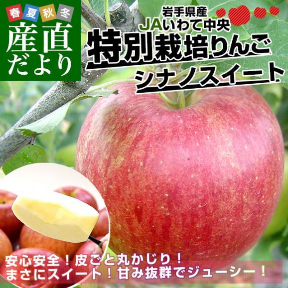 岩手県産 JAいわて中央 特別栽培りんご シナノスイート 約3キロ（8玉から13玉入り）送料無料 林檎 リンゴ02