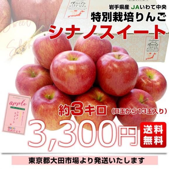 岩手県産 JAいわて中央 特別栽培りんご シナノスイート 約3キロ（8玉から13玉入り）送料無料 林檎 リンゴ03