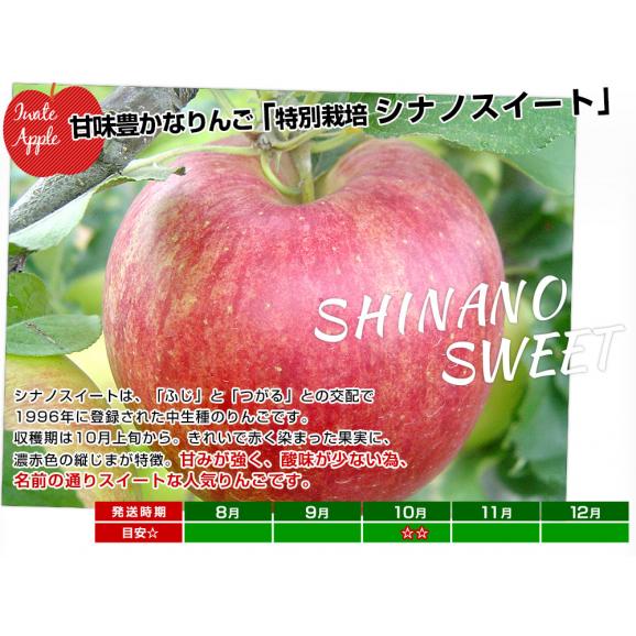 岩手県産 JAいわて中央 特別栽培りんご シナノスイート 約3キロ（8玉から13玉入り）送料無料 林檎 リンゴ05